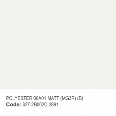 POLYESTER 00A01 MATT (MG3R) (B)